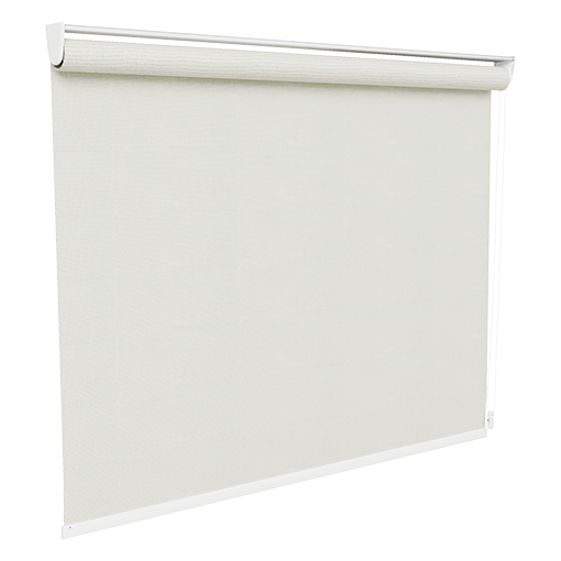 Screen